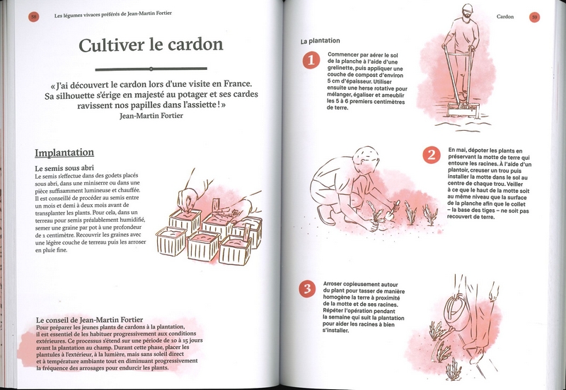 Les légumes vivaces