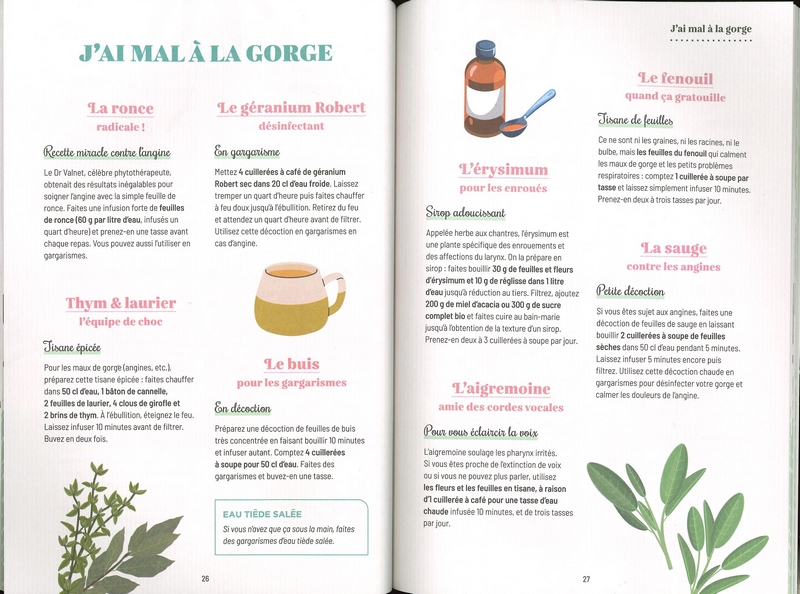 Mon cahier de tisanes - nelle édition