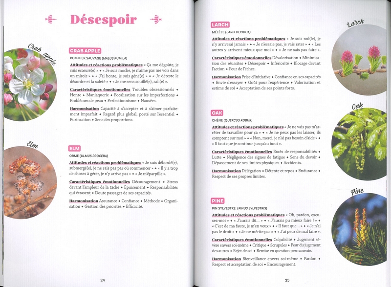 Mon cahier de fleurs de Bach - nelle édition