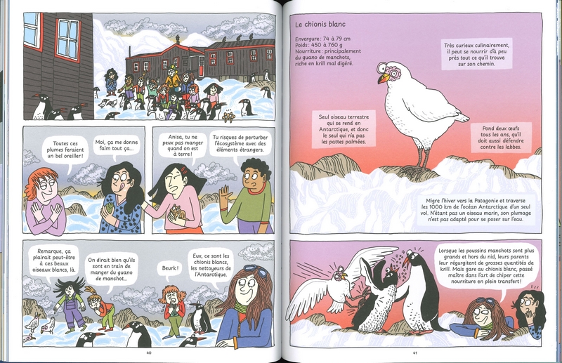 Direction l'Antarctique - BD