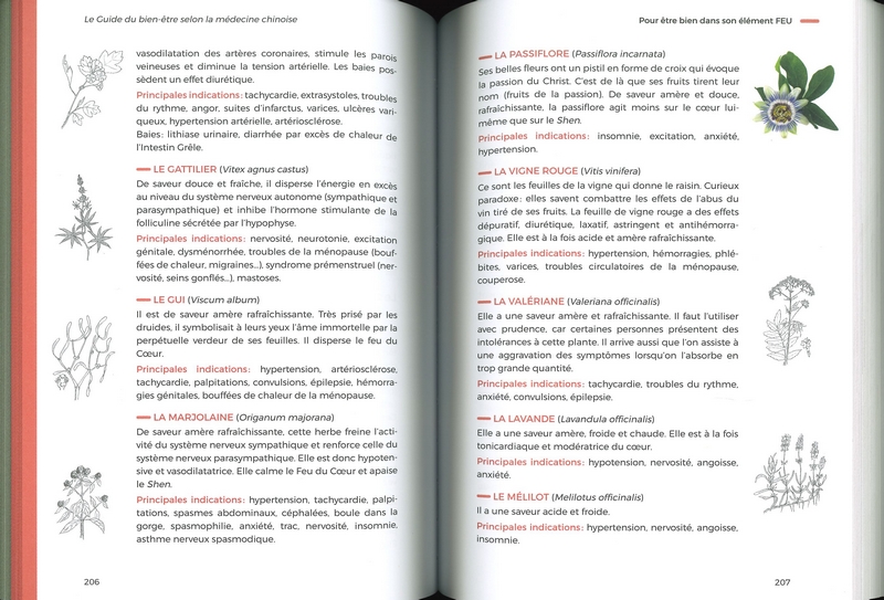 Le guide du bien-être selon la médicine chinoise