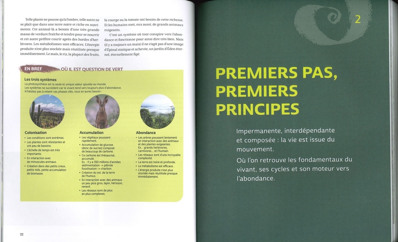 Bienvenue en syntropie - nelle édition