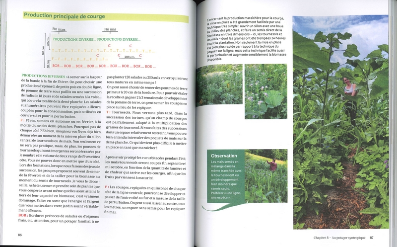 Bienvenue en syntropie - nelle édition