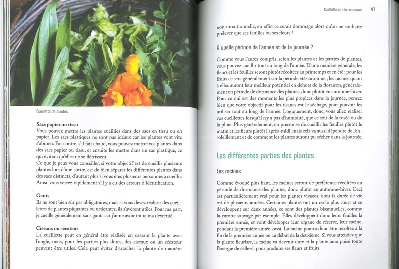 Cueillez... vos cafés, tisanes et thés!