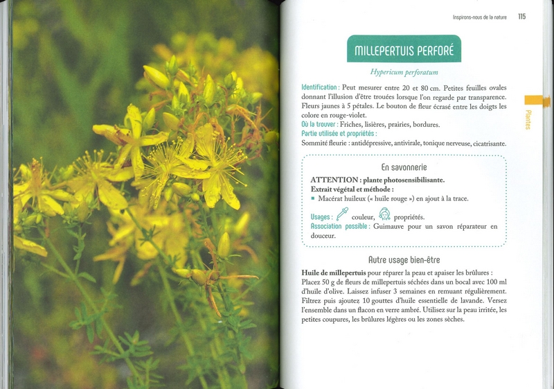 Le guide du savon vraiment écologique