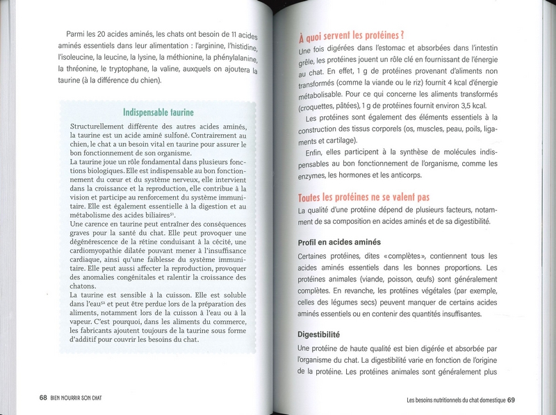 Bien nourrir son chat