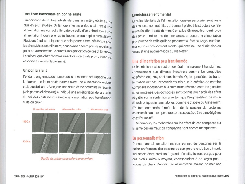 Bien nourrir son chat