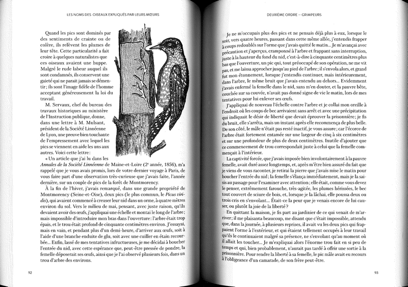 Les noms des oiseaux expliqués par leurs moeurs - T1