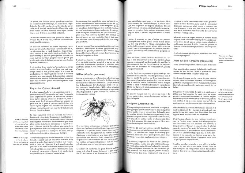 Créer un jardin-forêt