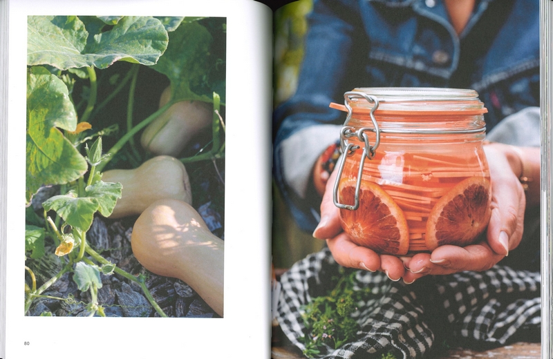 Les petits bocaux du potager