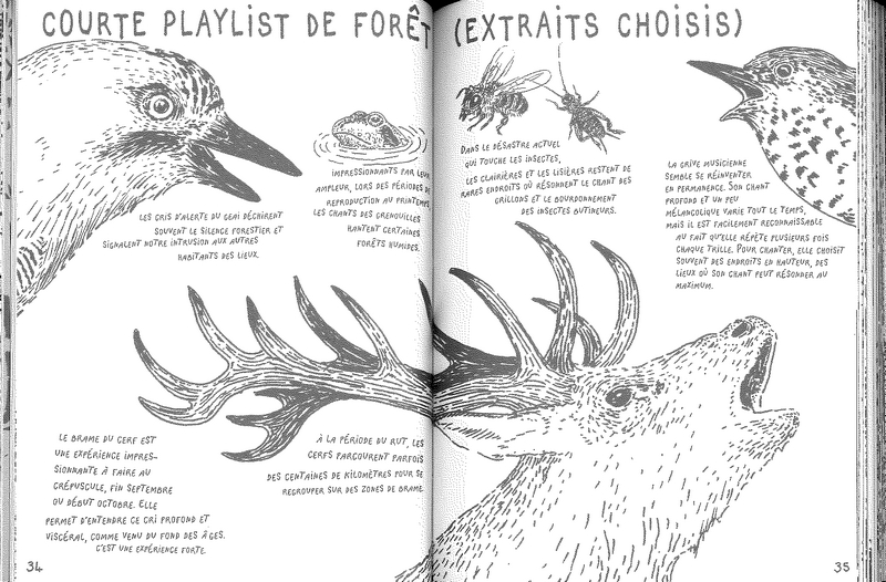 Vivre la forêt - Renouer avec le vivant