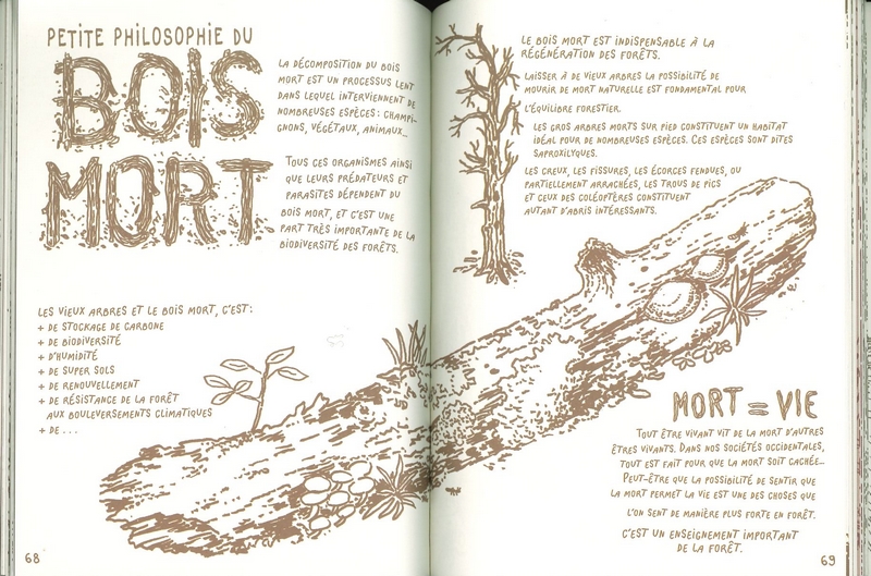 Vivre la forêt - Renouer avec le vivant