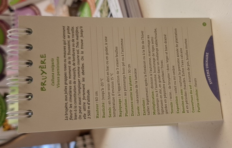 Les anti-sèches plantes médicinales