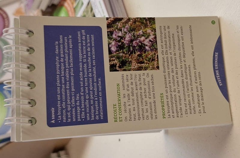 Les anti-sèches plantes médicinales