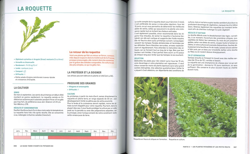 Le guide Terre Vivante du potager bio - Nelle éd.