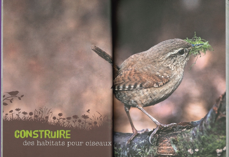 Nichoirs et mangeoires pour jardins & balcons - 34 projets