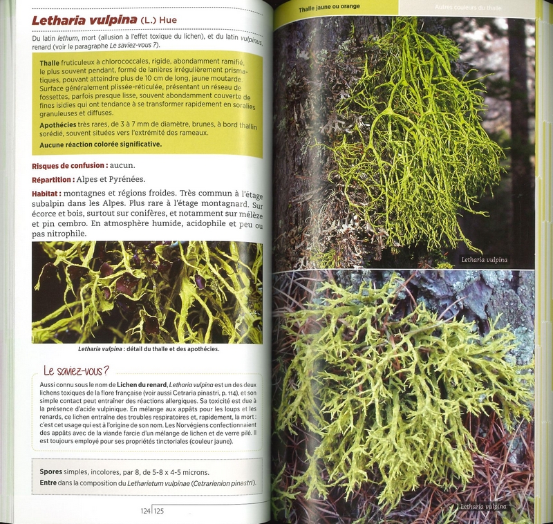 Guide des lichens de France