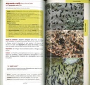 Guide des lichens de France
