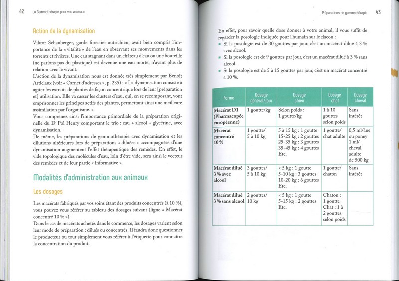 La gemmothérapie pour les animaux