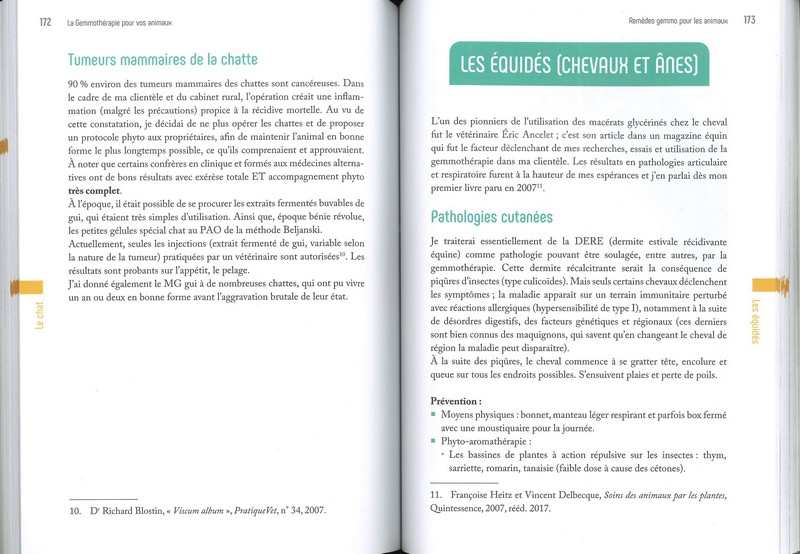 La gemmothérapie pour les animaux