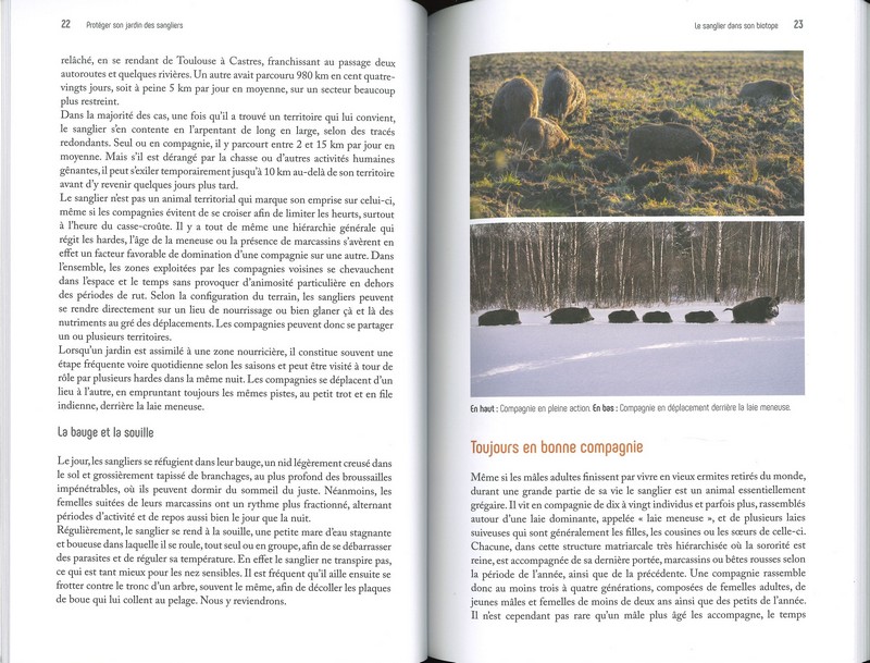 Protéger son jardin des sangliers