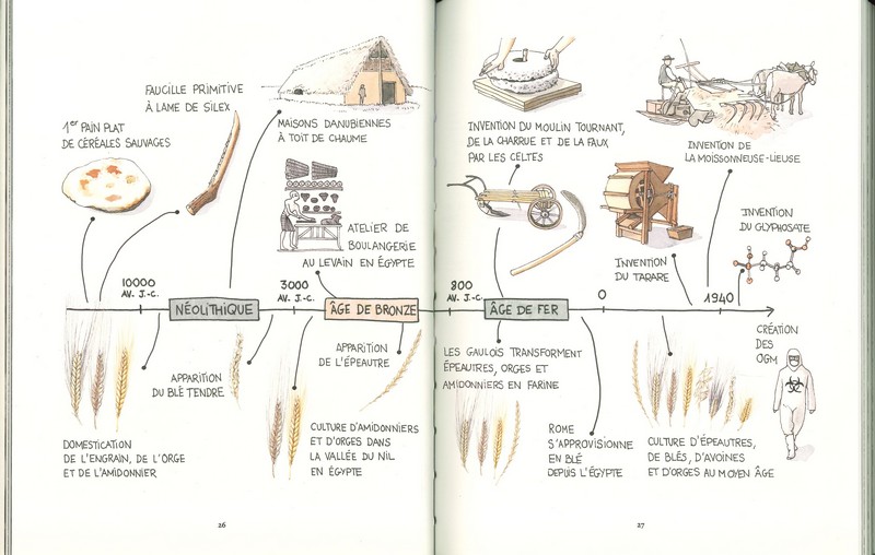 Cultiver les céréales