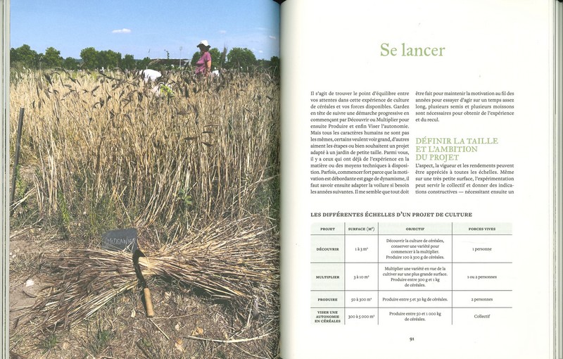 Cultiver les céréales