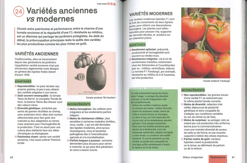 Produire des légumes en abondance