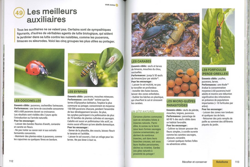 Produire des légumes en abondance