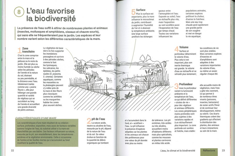 Créer et aménager une mare