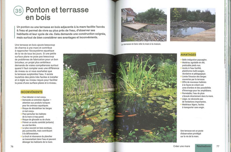 Créer et aménager une mare