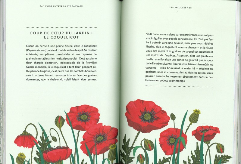 Renaturer son jardin