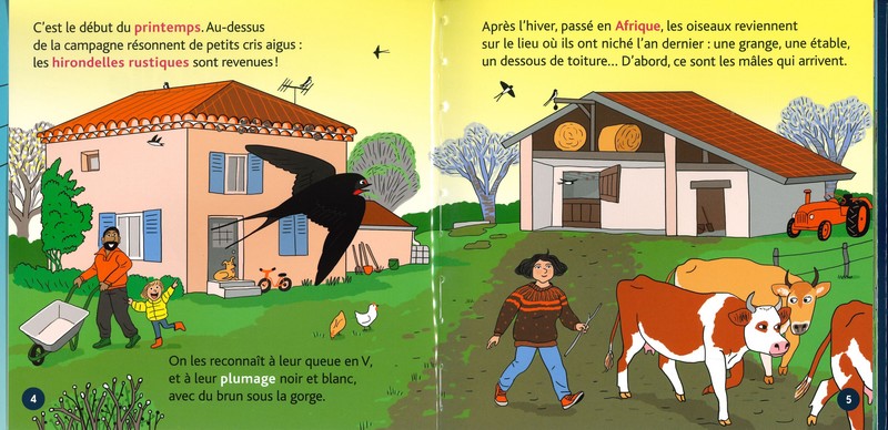 L'hirondelle - mes p'tits docs