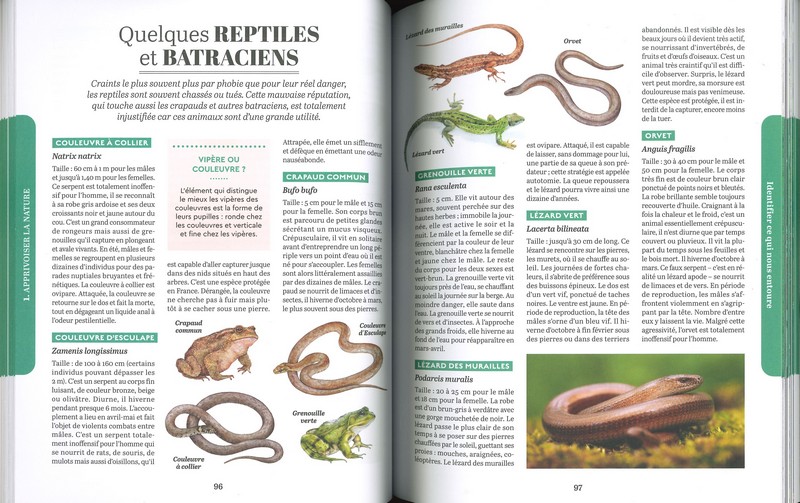 Traité Rustica Usages et savoir-faire de nos campagnes