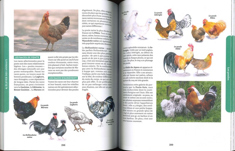 Traité Rustica Usages et savoir-faire de nos campagnes