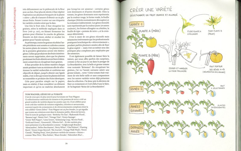 Le conservatoire de la tomate