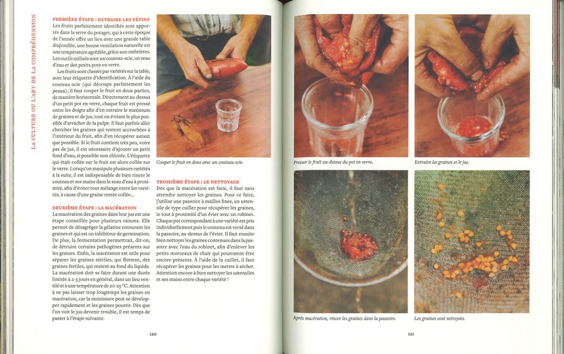 Le conservatoire de la tomate