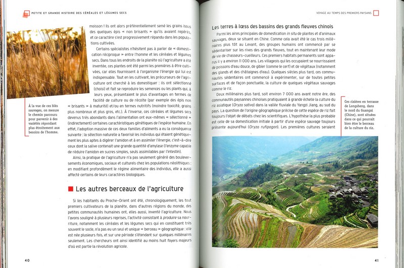 Petite et grande histoire des céréales et légumes secs