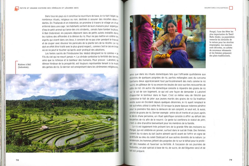 Petite et grande histoire des céréales et légumes secs