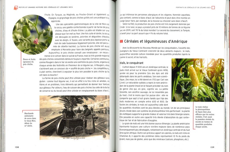 Petite et grande histoire des céréales et légumes secs