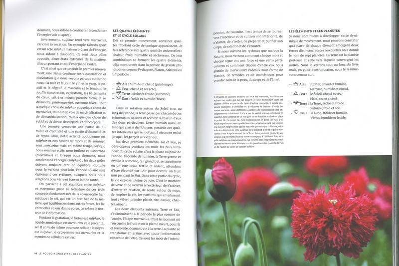 Le pouvoir ancestral des plantes