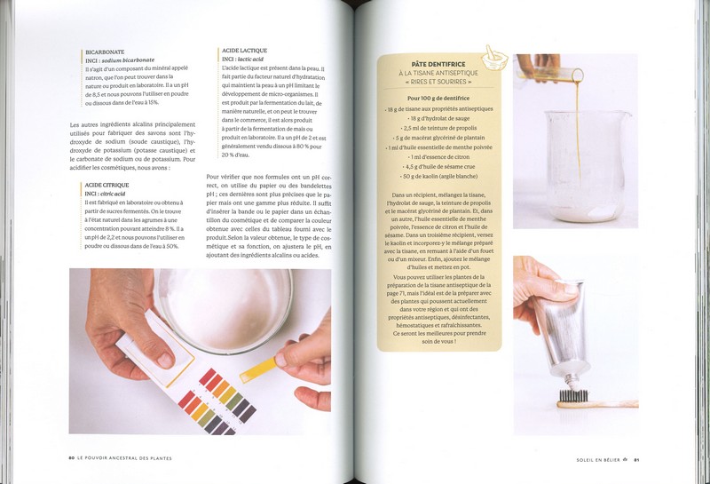 Le pouvoir ancestral des plantes