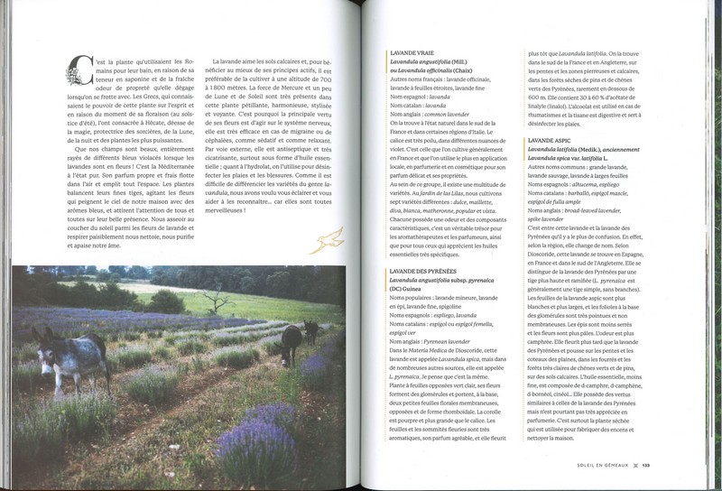 Le pouvoir ancestral des plantes