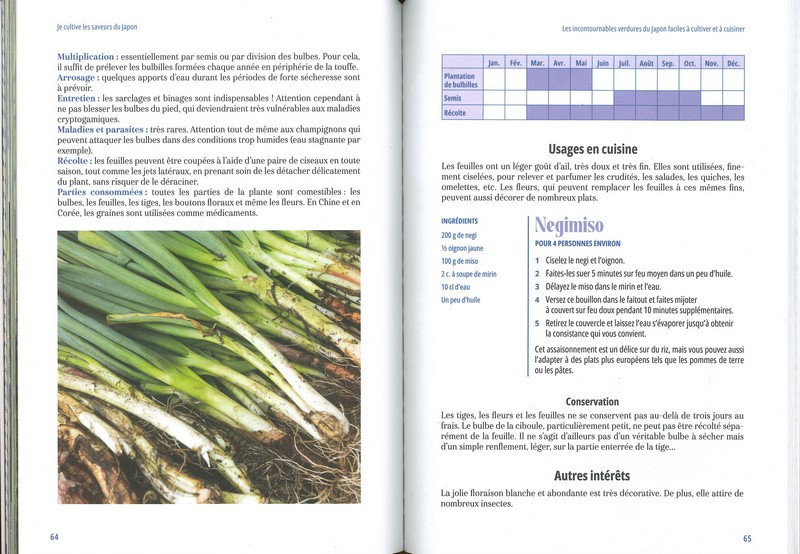 Cultiver les légumes du Japon