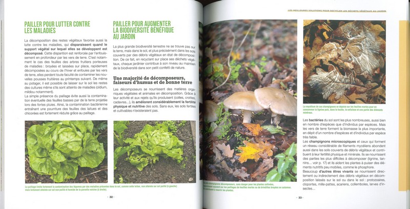 Je valorise mes déchets verts au jardin