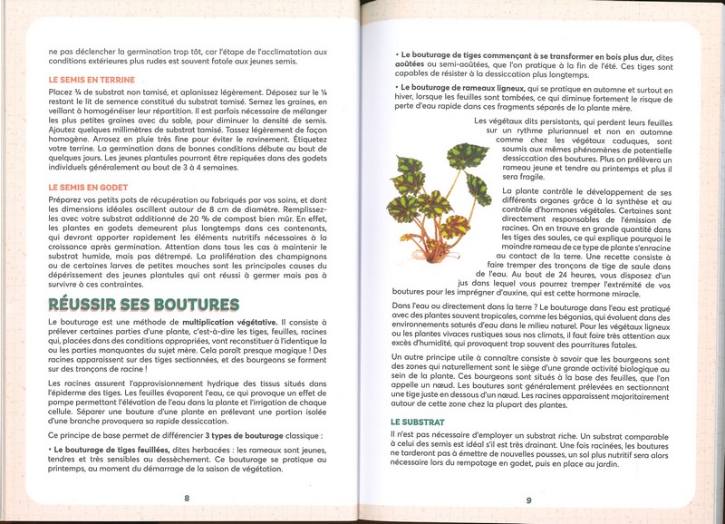 50 plantes gratuites