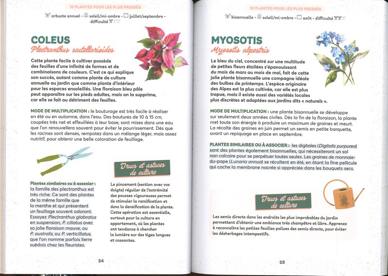 50 plantes gratuites