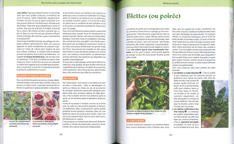 Mes premiers pas au potager avec Olivier Puech