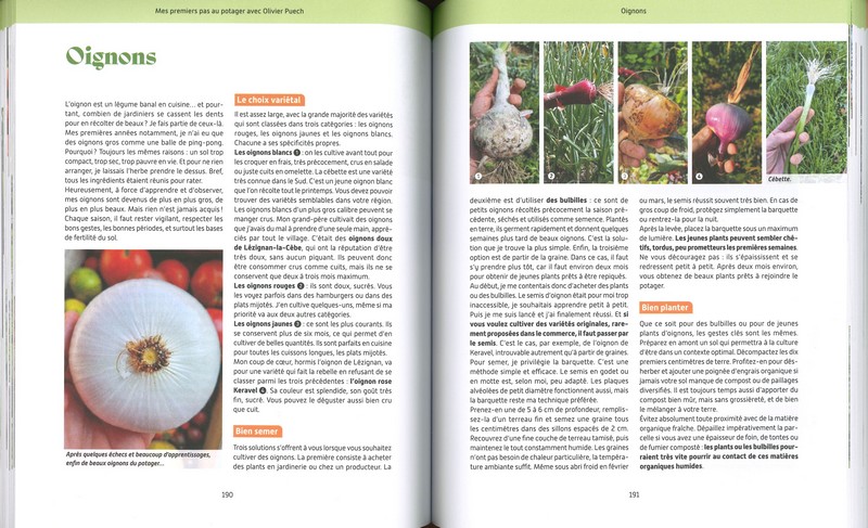 Mes premiers pas au potager avec Olivier Puech