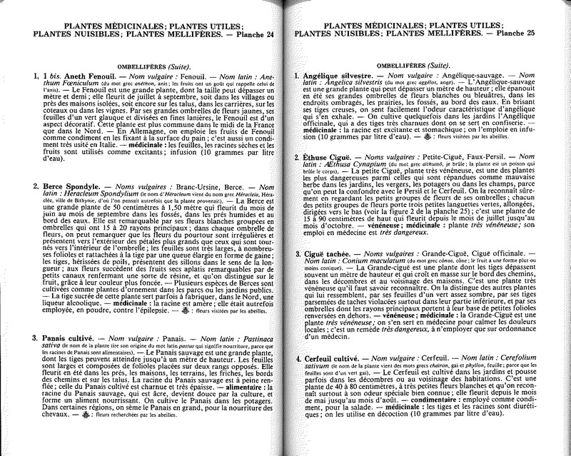 Plantes médicinales mellifères, utiles nuisibles